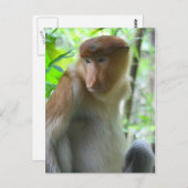 Affe Postkarte (Vorne/Hinten)