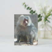 Affe Postkarte (Stehend Vorderseite)