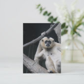 Affe Postkarte (Stehend Vorderseite)