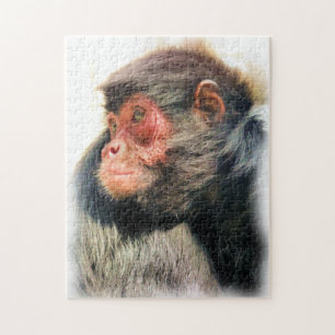 AFFE PUZZLE