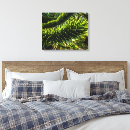 Affe Puzzle Tree - Baumfotografie Leinwanddruck (Insitu (Schlafzimmer))