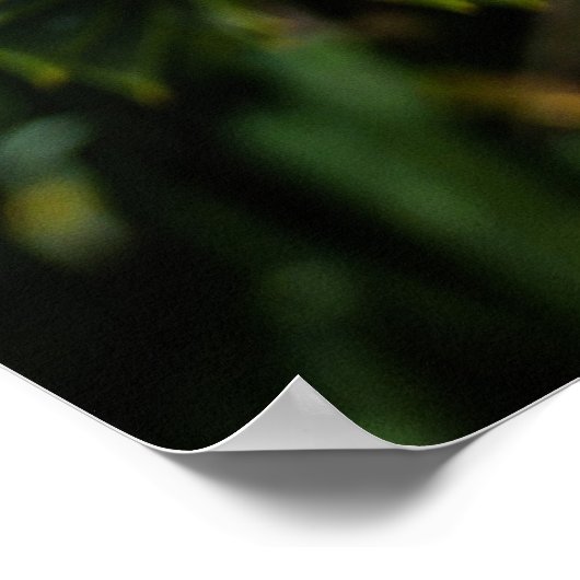 Affe Puzzle Tree - Baumfotografie Poster (Ecke)