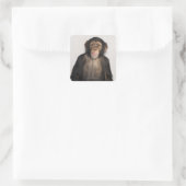 Affe Quadratischer Aufkleber (Tasche)