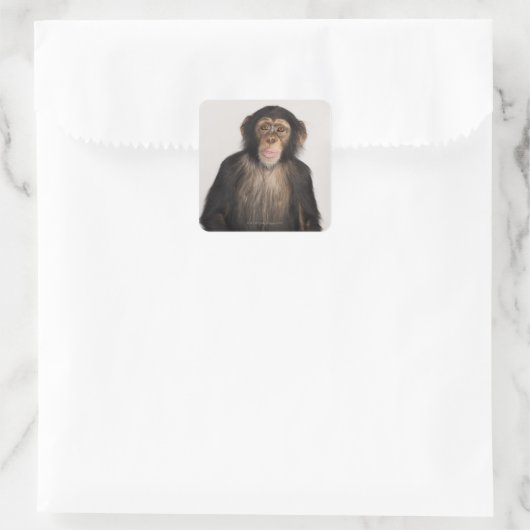Affe Quadratischer Aufkleber (Tasche)