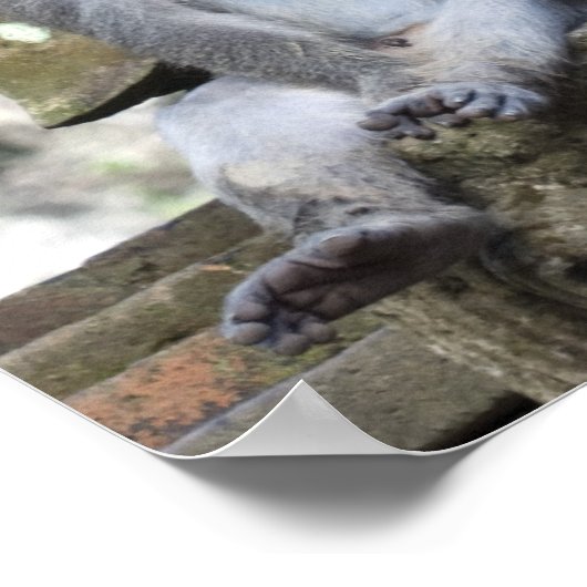 Affe sitzt an einer Statue in Bali Poster (Ecke)