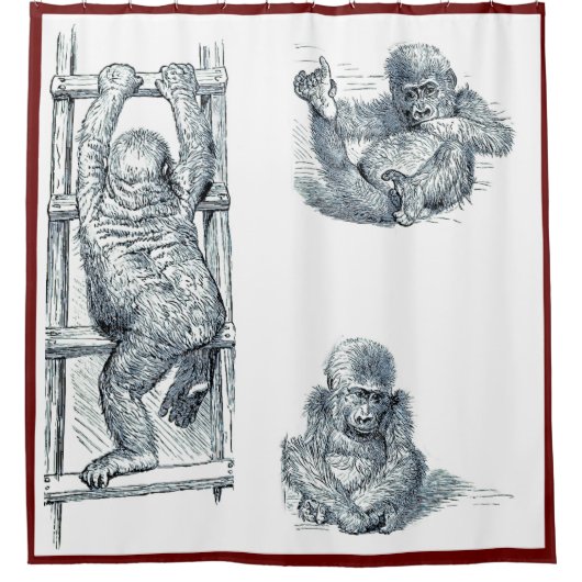 Affe um den Young Gorilla Duschvorhang (Vorderseite)