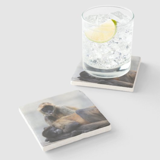 Affe Untersetzer (Seitenansicht)