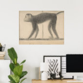 Affe von Georges Seurat Poster (Heimbüro)