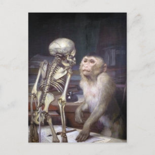 Affe vor Skelett Postkarte