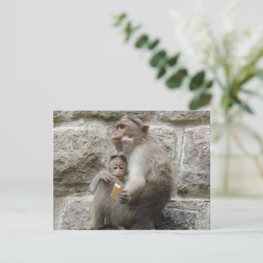 Affe will einen Keks Postkarte (Stehend Vorderseite)