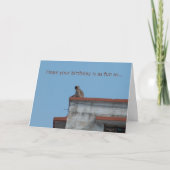 Affegeburtstagskarte Karte (Vorderseite)