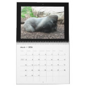 Affekalender Kalender (Mär 2026)