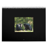 Affekalender Kalender (Titelbild)