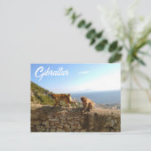 Affen auf dem Fels in Gibraltar Postkarte (Stehend Vorderseite)