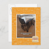 Affen auf Ferien Postkarte (Vorne/Hinten)