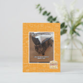 Affen auf Ferien Postkarte (Stehend Vorderseite)