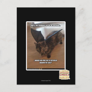 Affen auf Ferien Postkarte