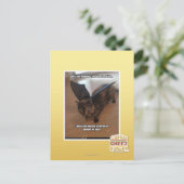 Affen auf Ferien Postkarte (Stehend Vorderseite)