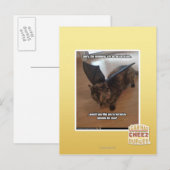 Affen auf Ferien Postkarte (Vorne/Hinten)