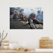 Affen baden poster (Küche)