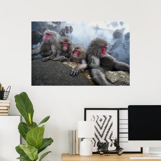 Affen baden poster (Heimbüro)