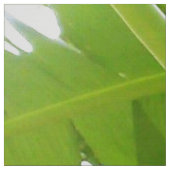 Affen Banana Tree Fabric Stoff (Muster)