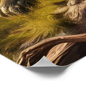 Affen begeistert vom antiken Stumpf Poster (Ecke)