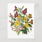 Affen-Blume Postkarte (Vorderseite)