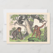 Affen-Dschungel Gender-neutral Baby-Dusche von Mai Einladung (Rückseite)