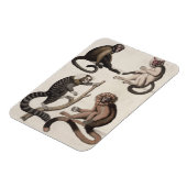 Affen (farbige Litho) Magnet (Linke Seite)