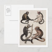 Affen (farbige Litho) Postkarte (Vorne/Hinten)