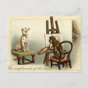 Affen färbt eine Hundeschliffskarte Postkarte
