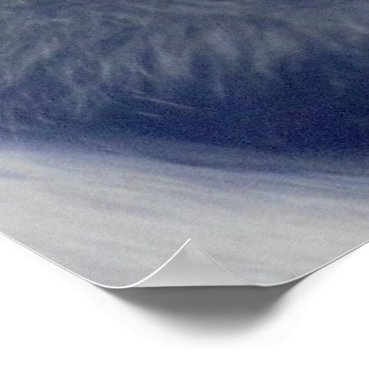 Affen-Foto Poster (Ecke)