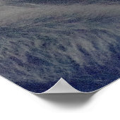 Affen-Foto Poster (Ecke)