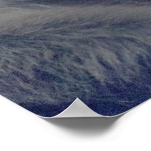 Affen-Foto Poster (Ecke)