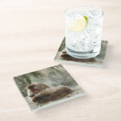 Affen Glasuntersetzer (Schrägansicht)