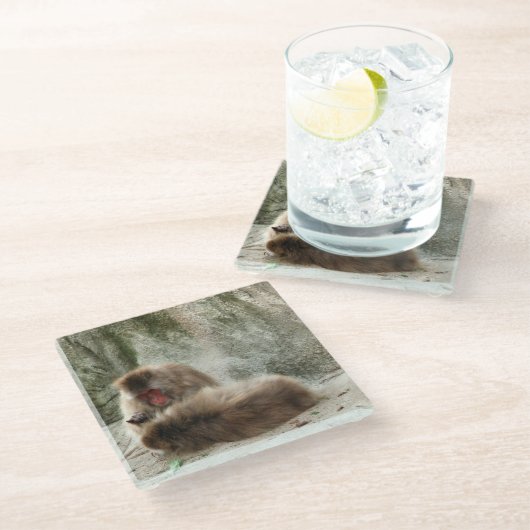 Affen Glasuntersetzer (Schrägansicht)