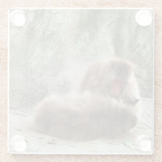 Affen Glasuntersetzer (Rückseite)