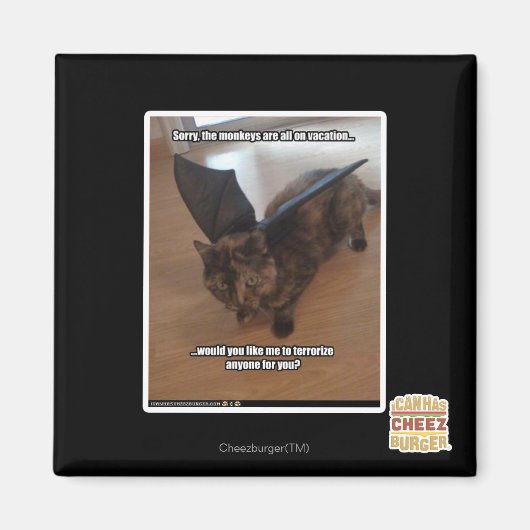 Affen im Urlaub Magnet (Vorne)