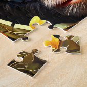 Affen Jigsaw Puzzle Collection (Seite)