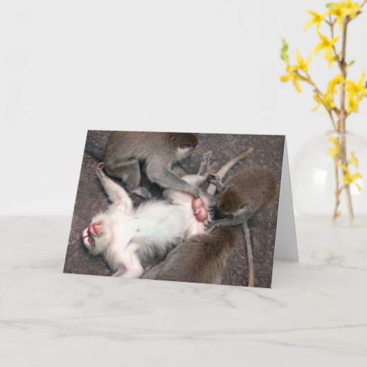 Affen Karte (Gelbe Blume)