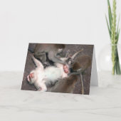 Affen Karte (Vorderseite)