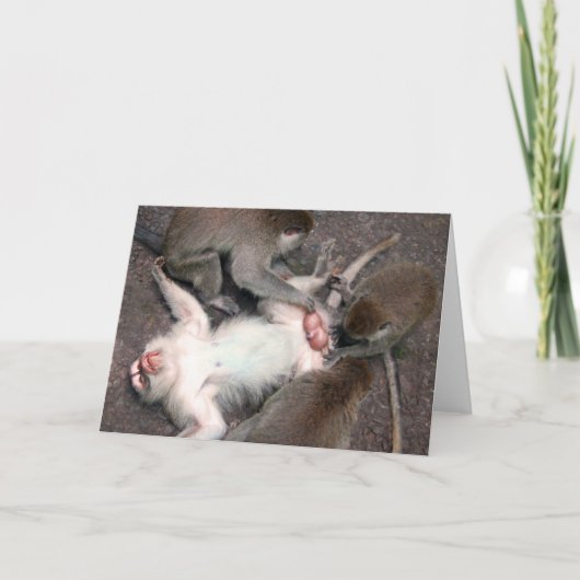 Affen Karte (Vorderseite)