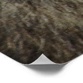 Affen-Liebe für immer Poster (Ecke)