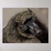 Affen-Liebe für immer Poster (Vorne)