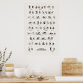 Affen - Naturalist's Library Poster (Küche)