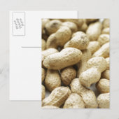 Affen. Postkarte (Vorne/Hinten)