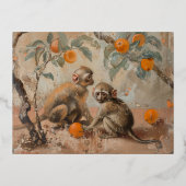 Affen - Postkarten (Vorderseite)