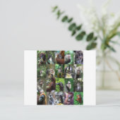 Affen Primaten Montage Postkarte (Stehend Vorderseite)