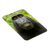 Affen-Selfie Magnet (Rechte Seite)